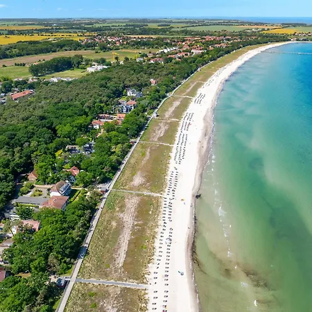 Strandvilla Scholle - Aal 06